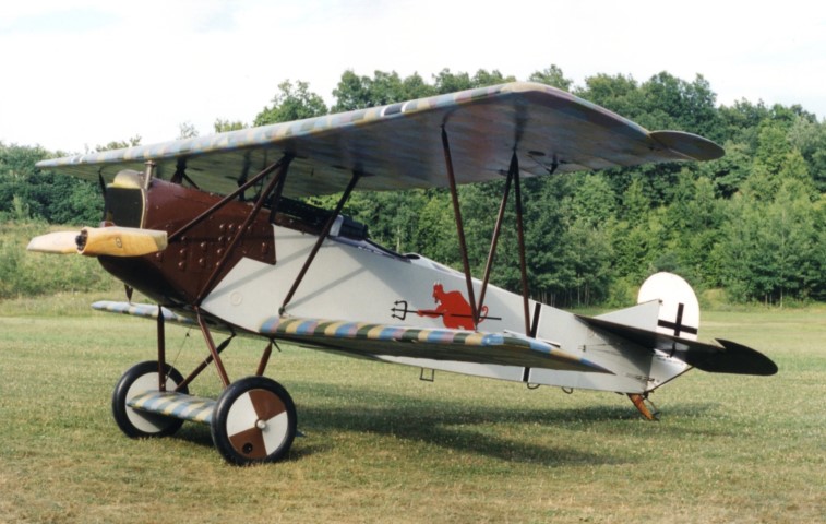 The Fokker D.VII replica at Old Rhinebeck (picture: Tom Polapink)