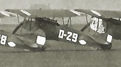 MLD Fokker D-VII 'D-29'. (Photo: NIMH Beeldbank)